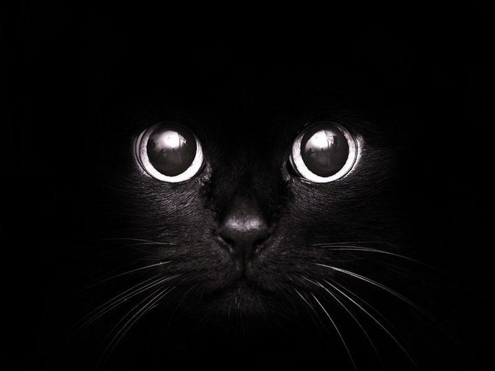 Марина Кислая | Ставрополь