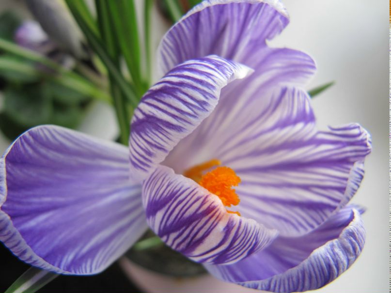 Ольга Петрик | Николаев