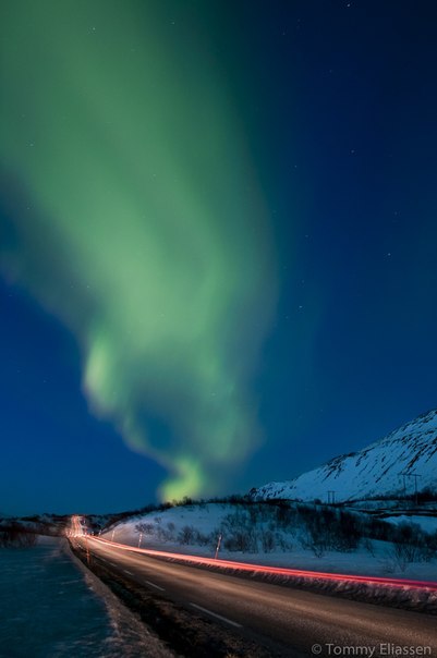 Наталия Менжерес | Киев