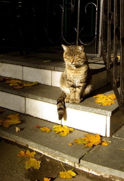 Оля Петрова | Санкт-Петербург
