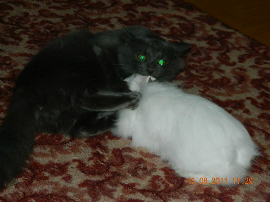 Евгений Мельниченко W | Челябинск