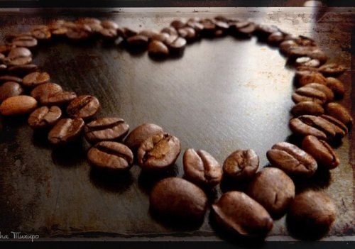 Елена Горбовская | Москва