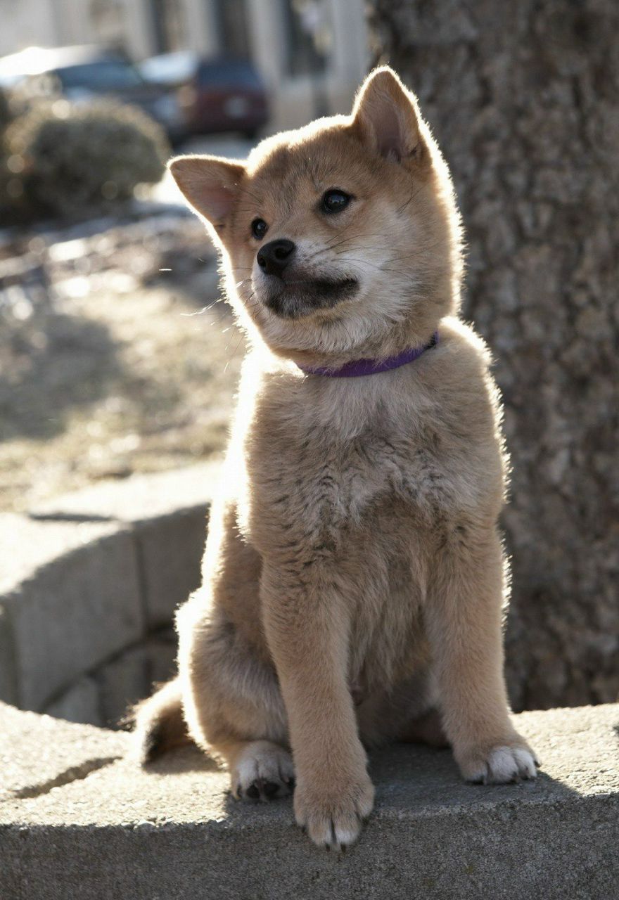 Іван Дубів | Ивано-Франковск