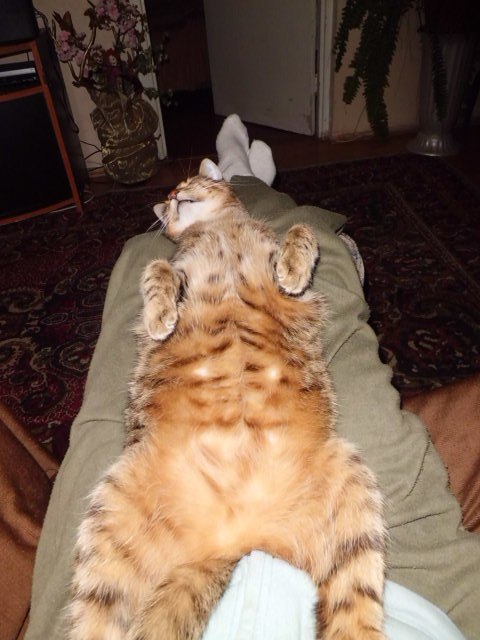 Наталья Глушко | Киев