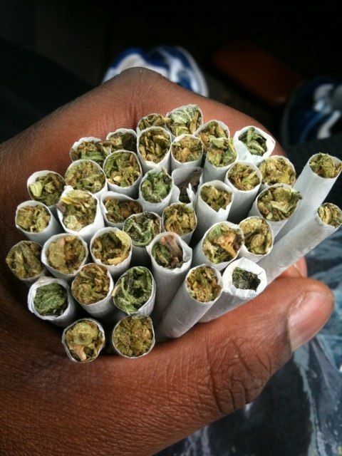 Ярослава Овсянникова | Краснодар