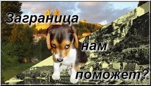 Алек Гальгул позовитесанитара | 