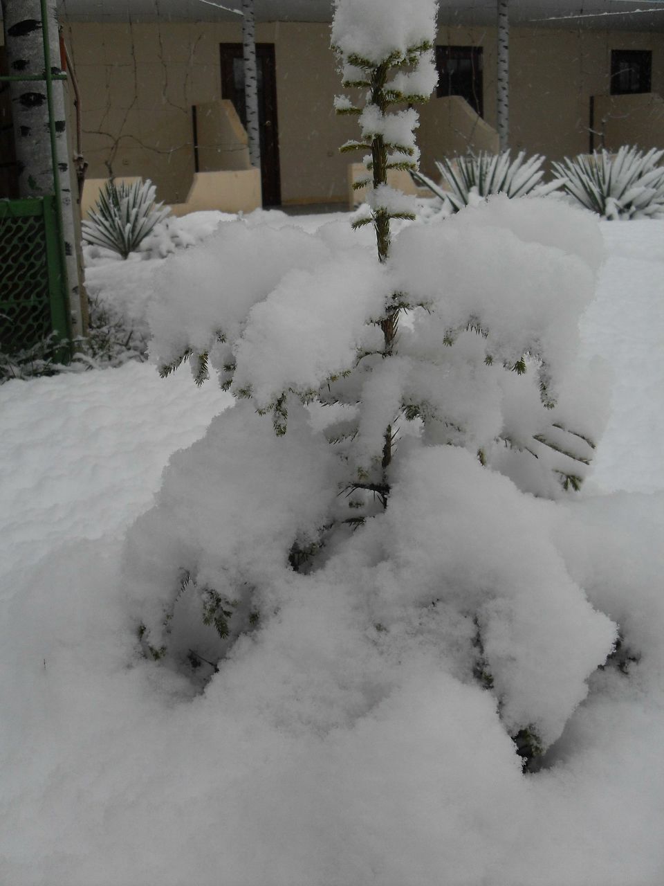 Василий Кутепов | Краснодар