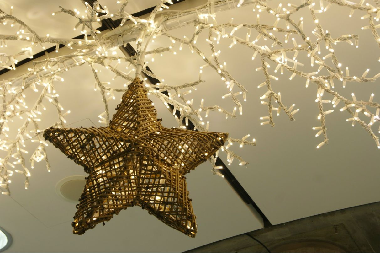 Виолетта Кошлак | Николаев