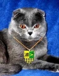 Юрий Нестерцов | Харьков