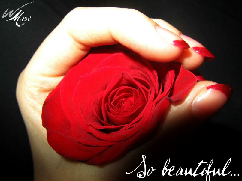 Мария Шапошник | Донецк