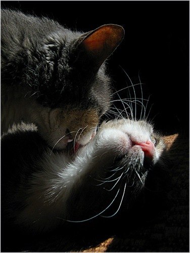 Марина Стащенко и Костик | Черноморск / Ильичевск