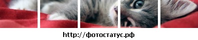 №20, Анастасия Белая, Херсон №20, Анастасия Белая, Херсон