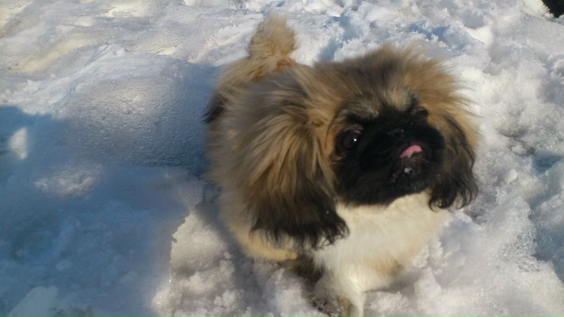 Александра Бутт | Новосибирск