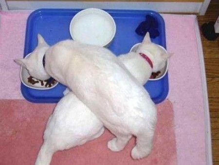 №74, Елена Минеева, Москва №74, Елена Минеева, Москва