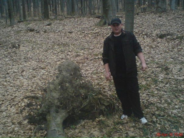 №29, Діма Гамаль, Черновцы №29, Діма Гамаль, Черновцы