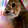 Аватар: Unknown Unknown