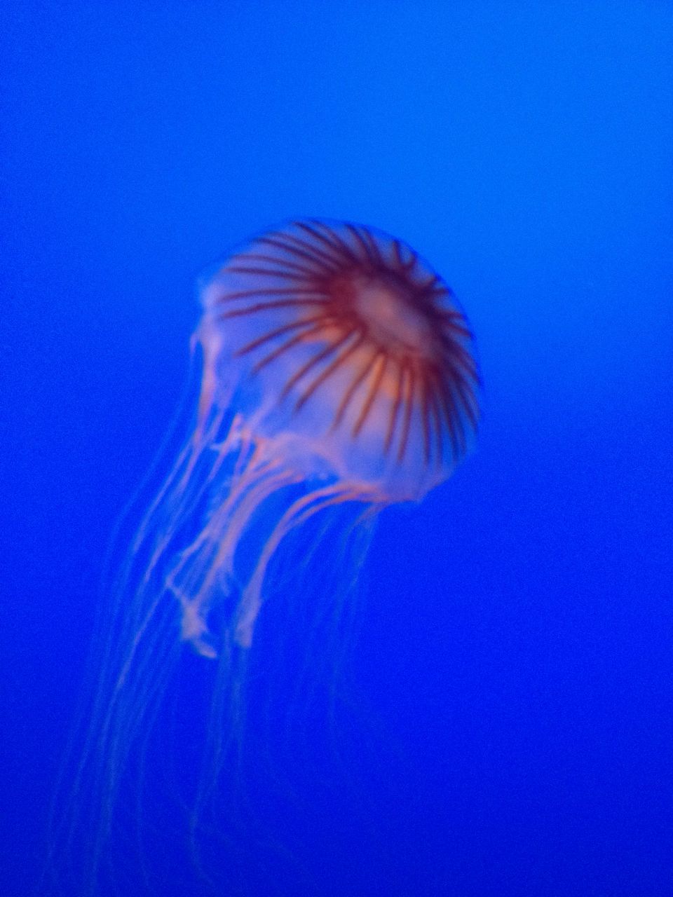 Olga Andreeva | Уфа