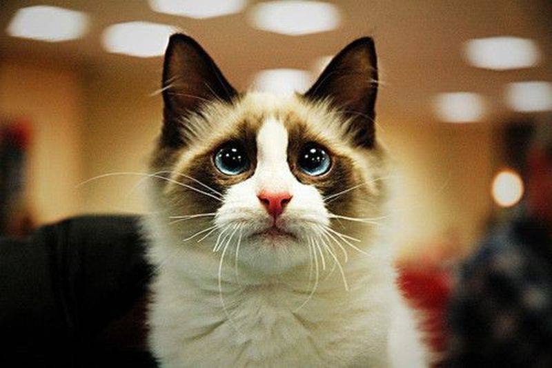 Эмиль Хайдаров | Уфа