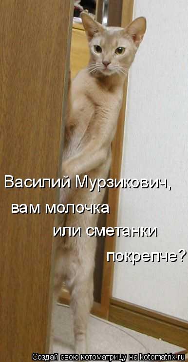 Игорь Макаров | Санкт-Петербург