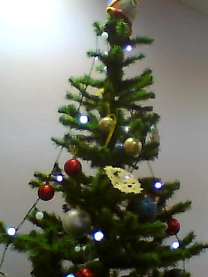 №5, Денис Румянцев №5, Денис Румянцев