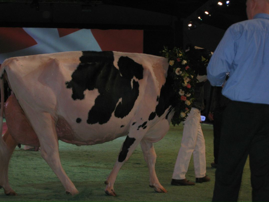 Наталья Титлянова | Lausanne