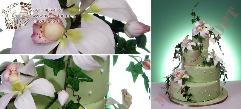 Владимир Дараган | Санкт-Петербург