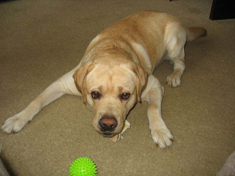 Алексей Горохов | Нижний Новгород