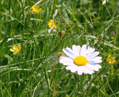 Яна Маркова | Москва