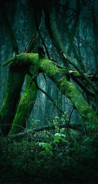 №1, Emma Fenrirsdottir, 34 года, Москва №1, Emma Fenrirsdottir, 34 года, Москва