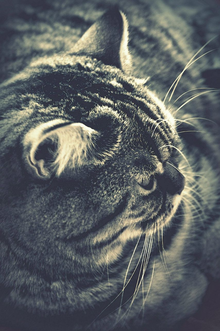 Олеся Конарева | Москва