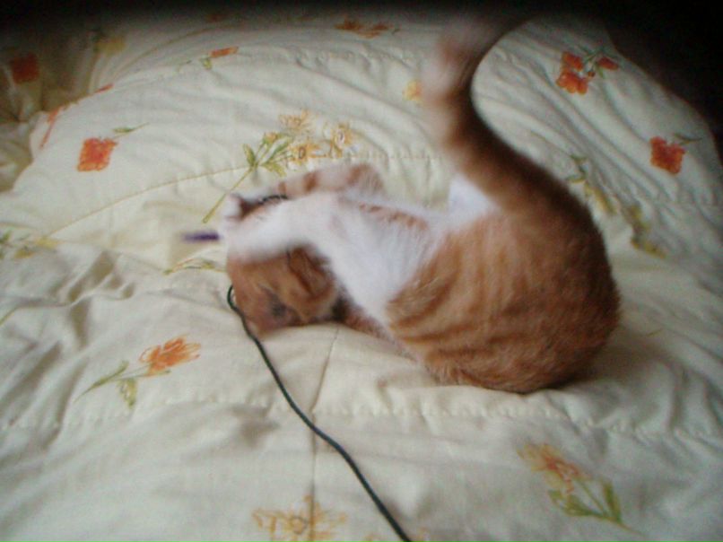 Елена Леонова | Москва