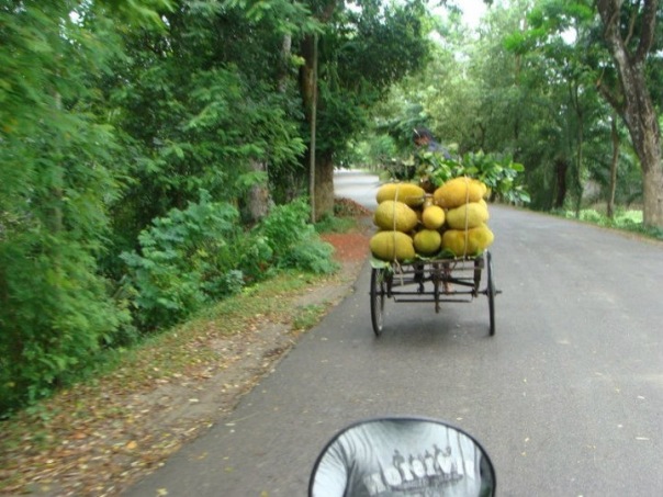 №16, Мостафизур Бисвас, Тверь №16, Мостафизур Бисвас, Тверь