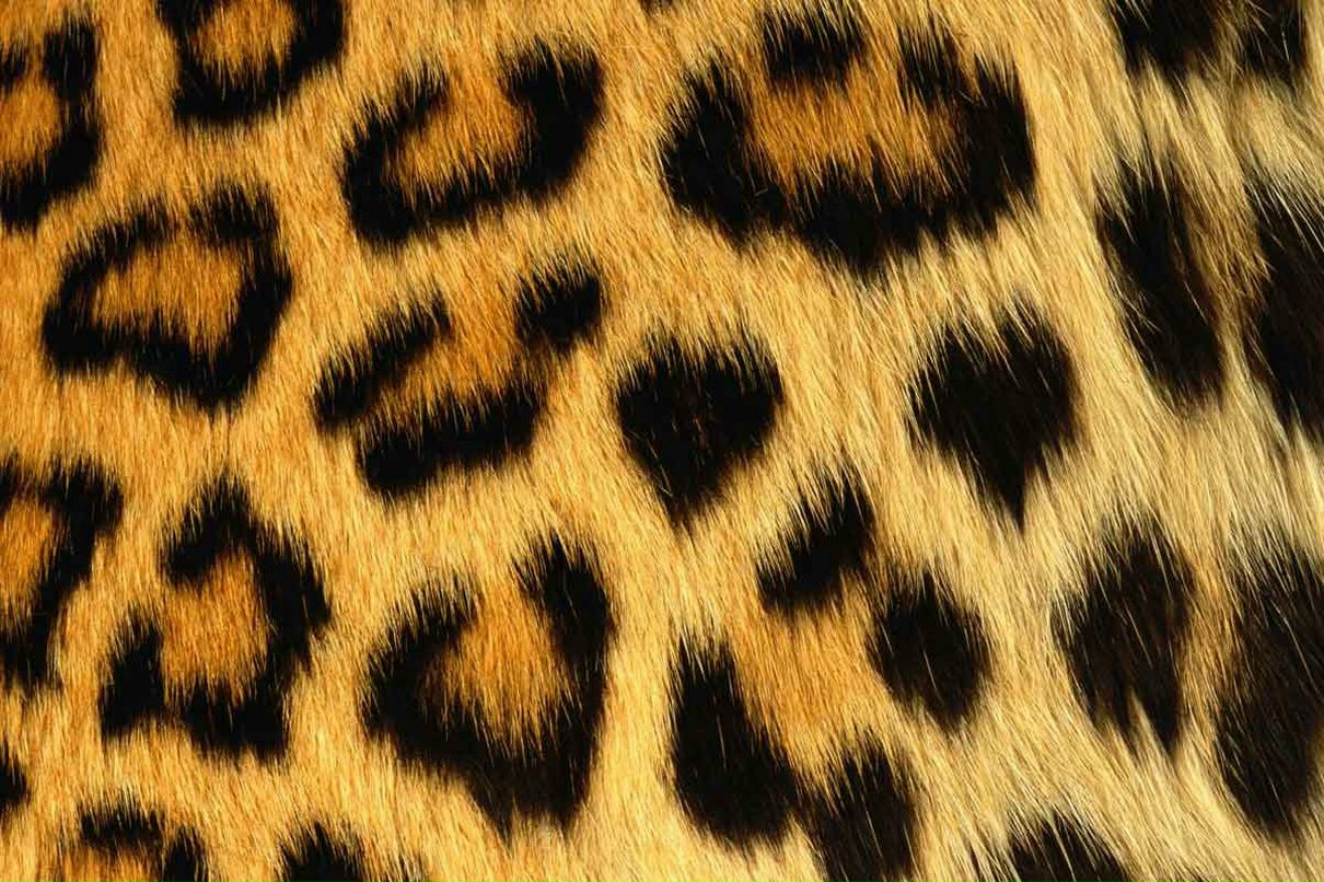 Антон Фролов | Москва