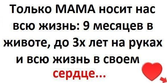 Никита Щербаков ________слоняра_____ | Орёл