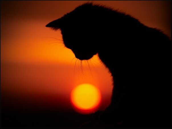 №162, Анастасия Полушкина, 39 лет, Тольятти №162, Анастасия Полушкина, 39 лет, Тольятти