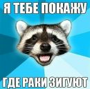 Фотография Брат Печенко