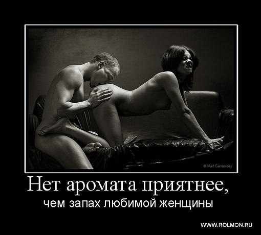 София Волк | Санкт-Петербург