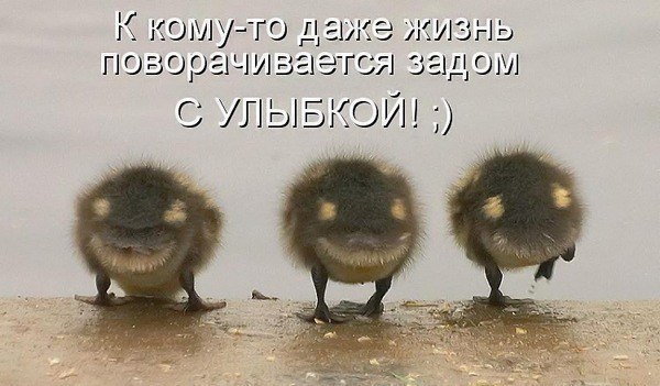 №97, Никита Коптелов, 30 лет, Запорожье №97, Никита Коптелов, 30 лет, Запорожье
