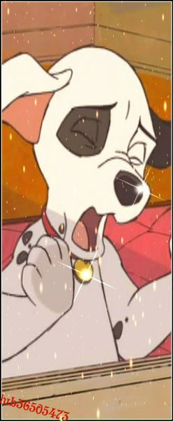 №10, Анастасия Коидзуми, Санкт-Петербург №10, Анастасия Коидзуми, Санкт-Петербург