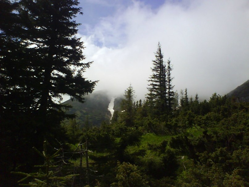 Александр Чуб | Бердянск
