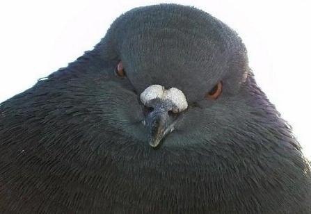 Аня Помидорова | Санкт-Петербург