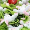 №5, Анюта Мишкурова, Витебск №5, Анюта Мишкурова, Витебск