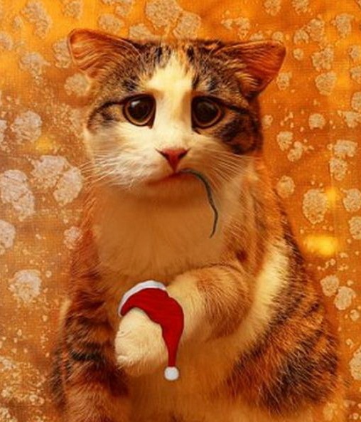 №6, Сергей Радовский, 44 года, Минск №6, Сергей Радовский, 44 года, Минск