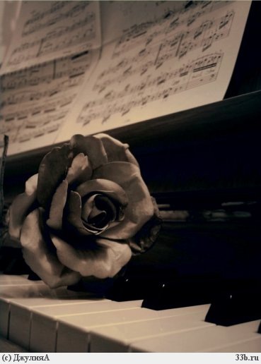 №1, Алексей Козельский, 35 лет, Днепр (Днепропетровск) №1, Алексей Козельский, 35 лет, Днепр (Днепропетровск)