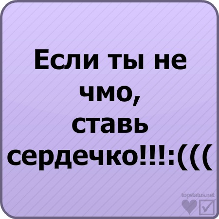 №48, Ваня Мурашов, 12.6.2000 №48, Ваня Мурашов, 12.6.2000