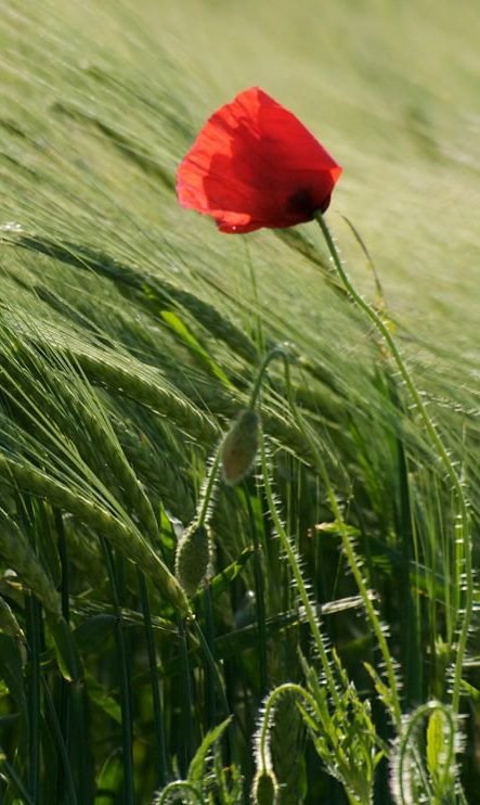 Таня Илалова | Киев