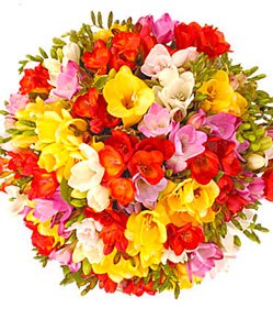 Сергей Нагир | Черкассы