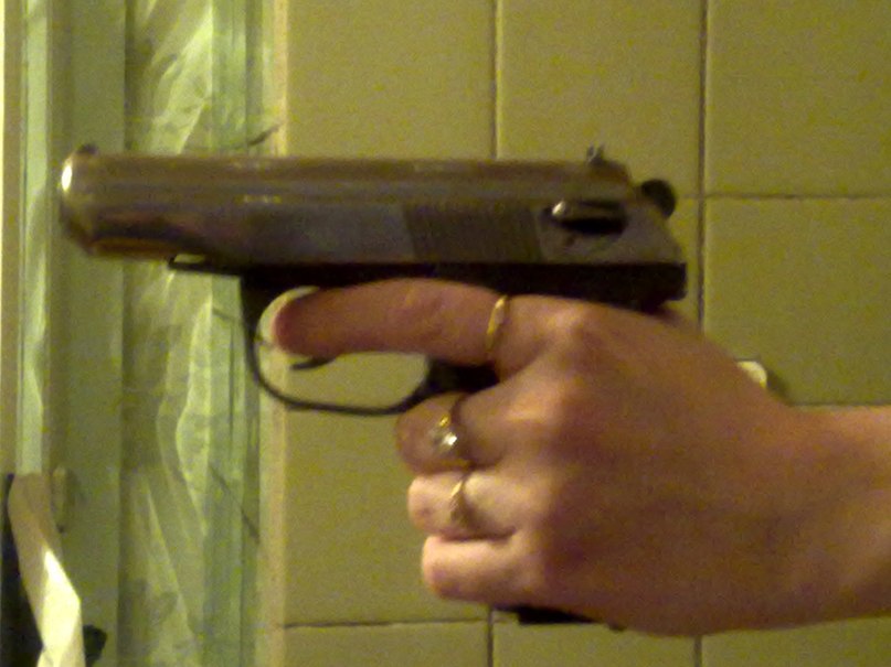 Ариадна Пушкарёва | Суда