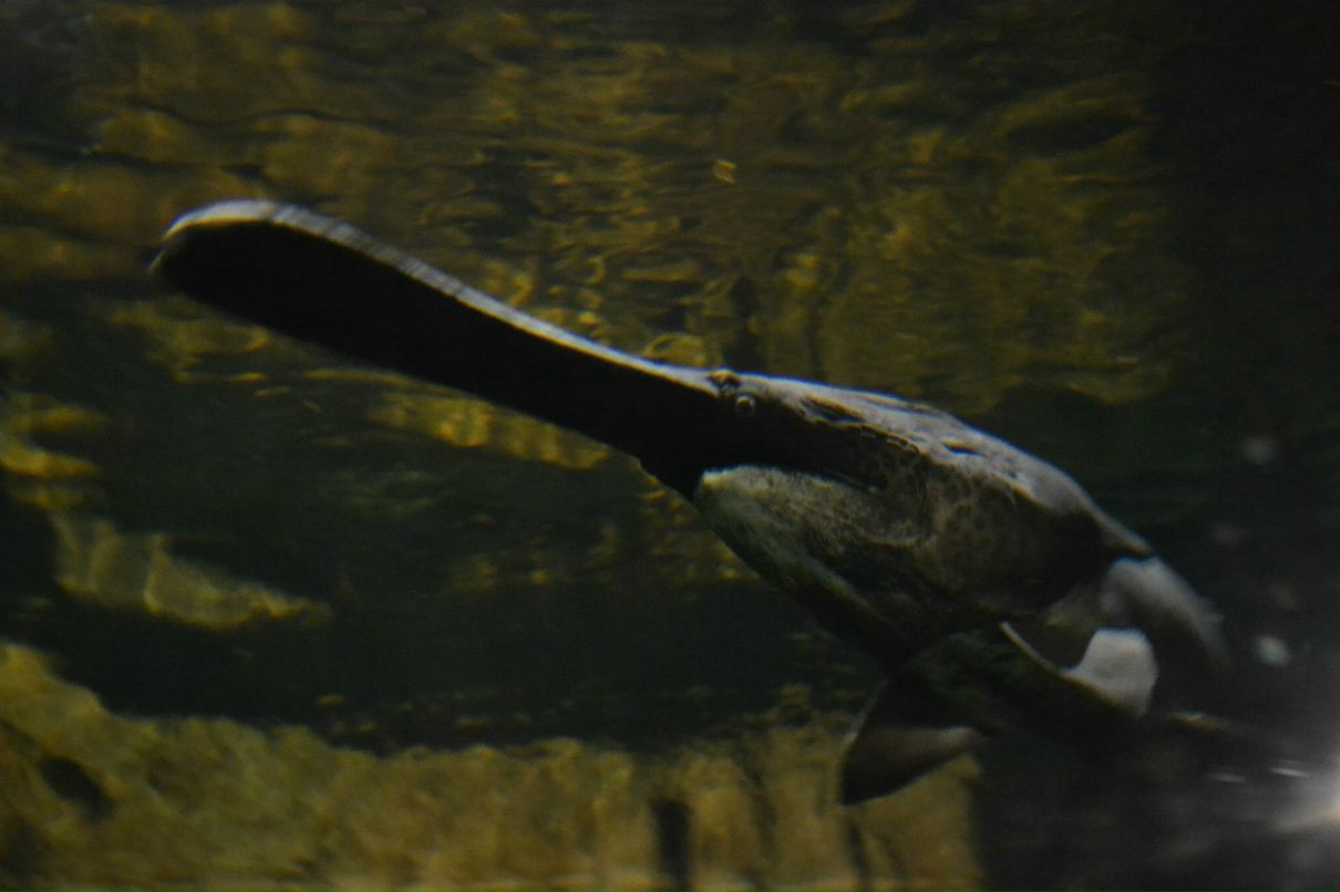 Ленка Щербакова NIKTCHEMY | Санкт-Петербург