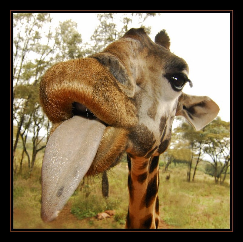 Артур Рябов ˙·٠•●๑۩ Archi ۩๑●•٠·˙ | Нижнекамск